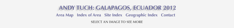 Andy Tuch: Galapagos, Ecuador 2012 and links to area map, area ans site index, geographic index